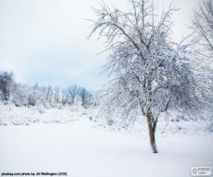 Puzzle de Árbol nevado