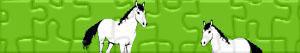 Puzzles de Caballos