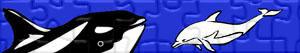 Puzzles de Delfines y otros mamíferos marinos