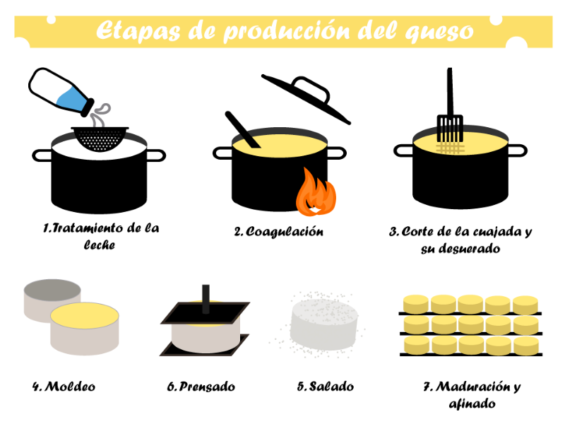 proceso de producción de queso puzzle