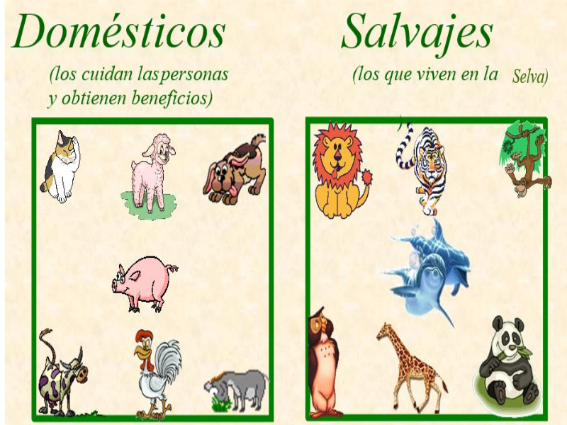Puzzle de ANIMALES DOMÉSTICOS Y SALVAJES , rompecabezas de
