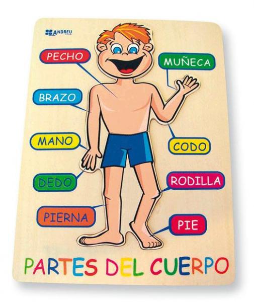 Resultado de imagen de PUZZLES PARTES EL CUERPO