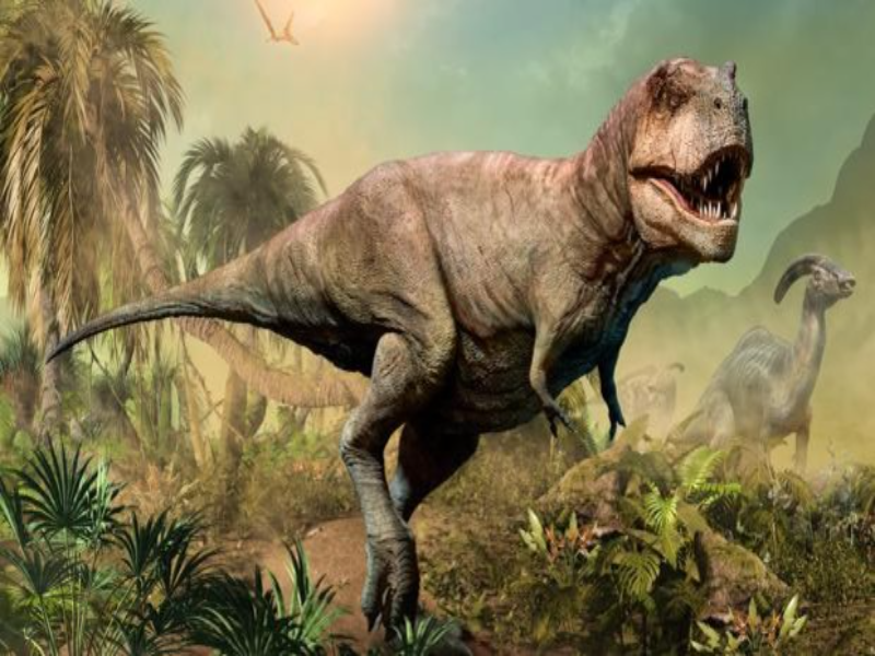 Puzzle de dino es un dinosaurio que vive en el desierto rompecabezas de