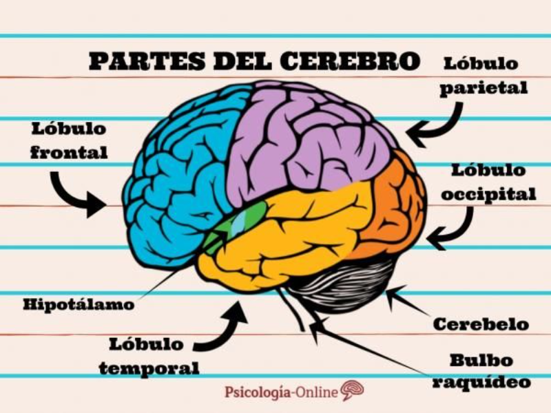 Que nota se necesita para psicologia