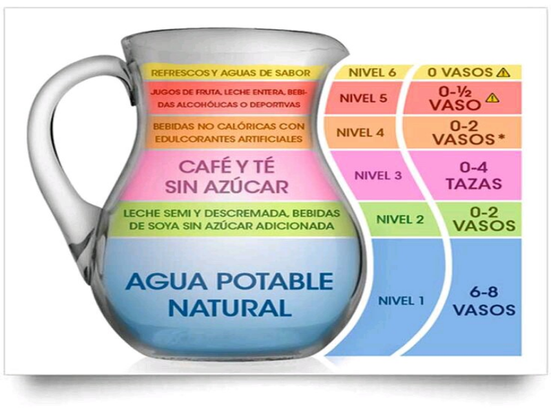 Importancia de beber agua en cetosis Importancia de beber agua en cetosis