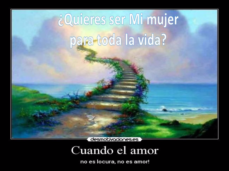 Juntos Para Toda La Vida Pdf Puzzle de Juntos para toda la vida , rompecabezas de
