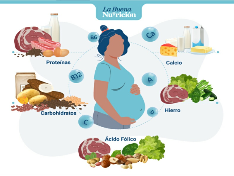 Alimentos con hierro para embarazadas Alimentos con hierro para embarazadas