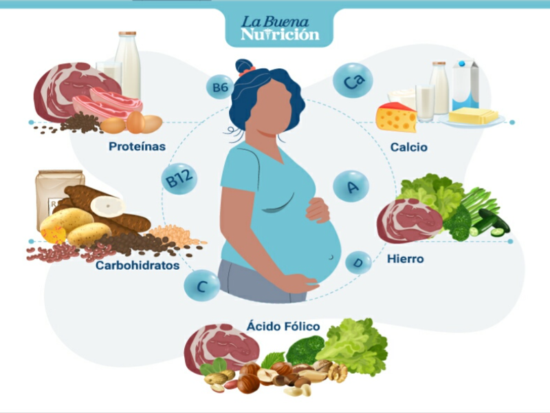 Valores nutricionales cebolla