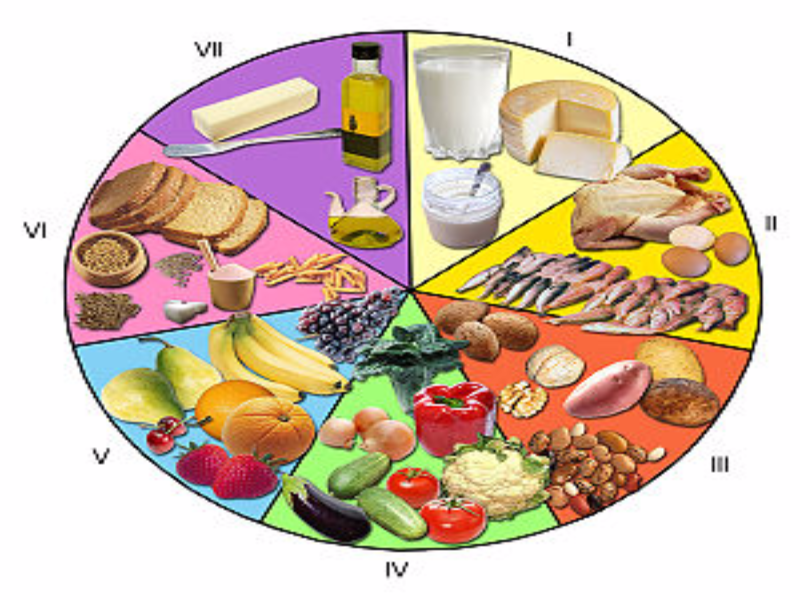 Dieta equilibra Dieta equilibra