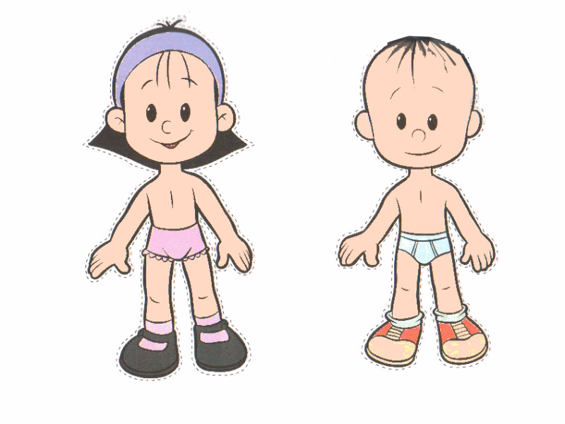 rompecabezas el cuerpo humano para niños