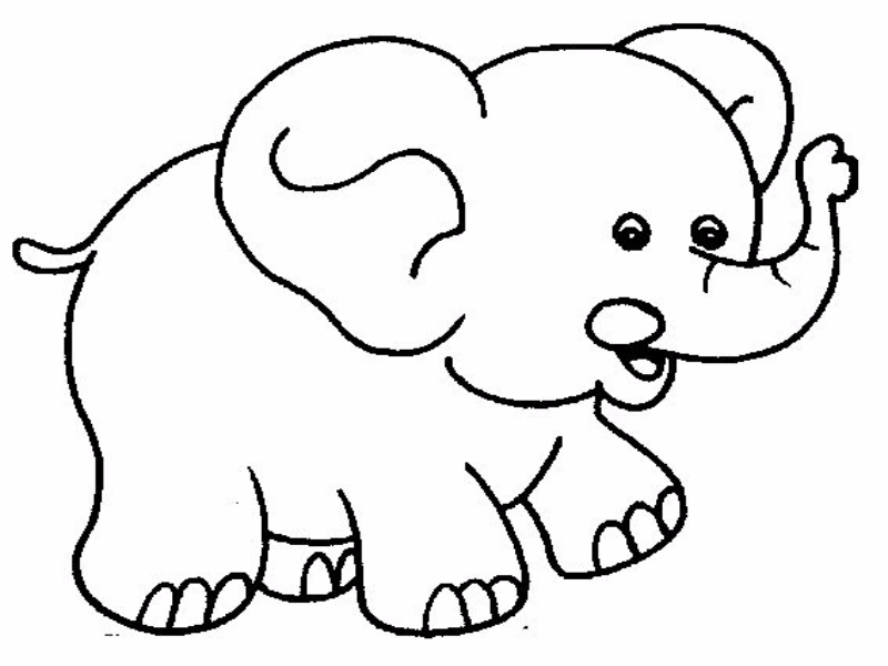 rompecabezas de elefante